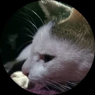 Picsart profile picture for @richhhh