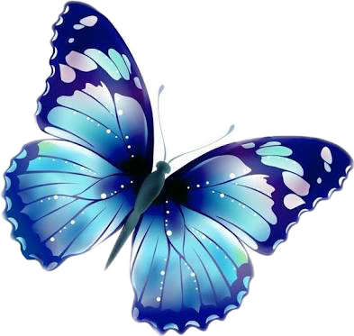 butterfly freetoedit #butterfly sticker by @fizzielicious