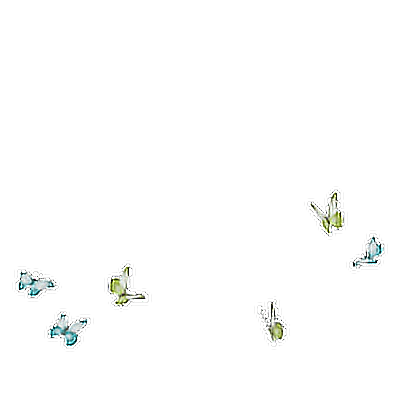 butterfly freetoedit #butterfly sticker by @hayatalkhajah