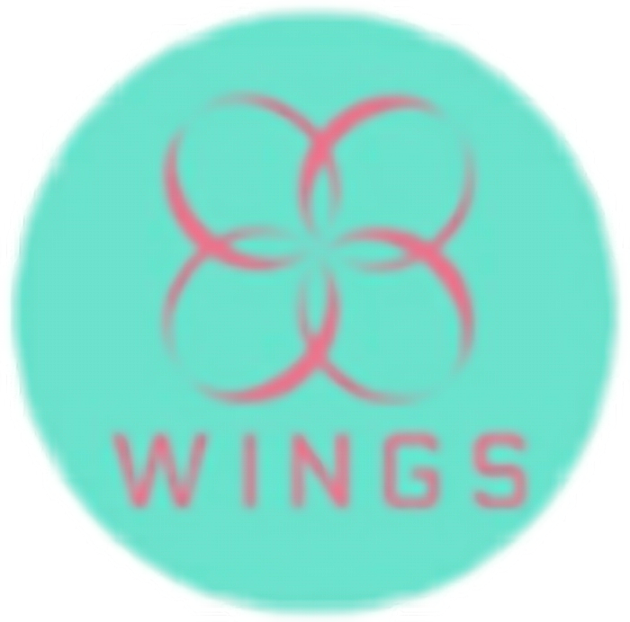 Bts Wings Png Logo Clipart Bts Bts Logo 214671 Vippng 0284