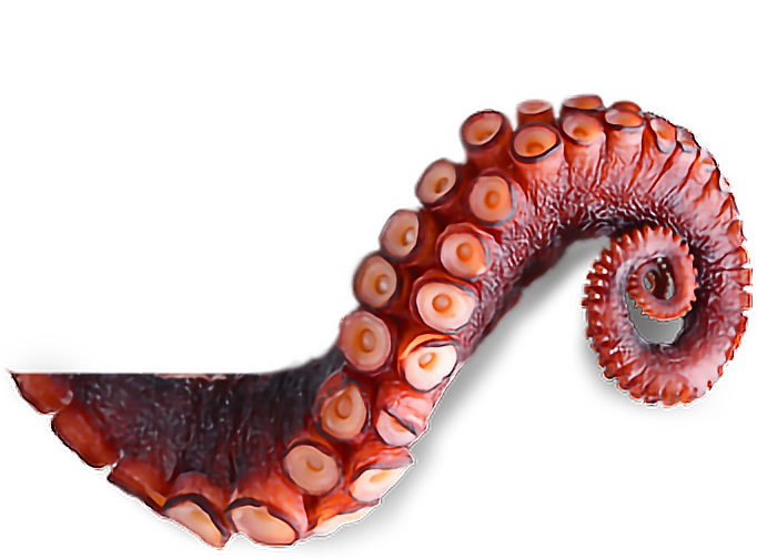ftestickers octopus tentacles oceanstickers...